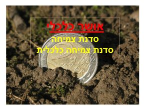 כלכלת המשפחה אבל אחרת.