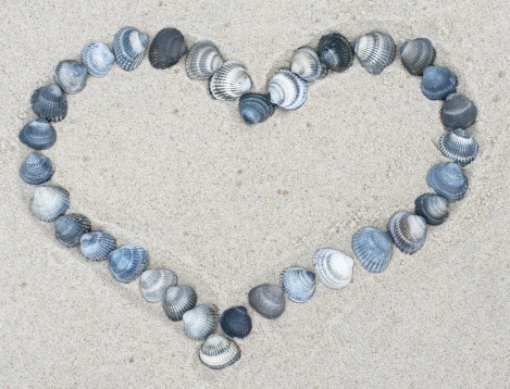 a heart out of mussels.jpg